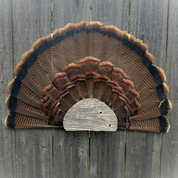 Barn Wood Turkey Fan Plaque Mount