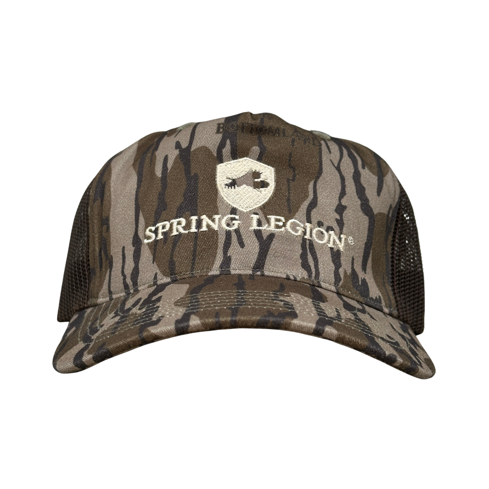 ジャイアンツspring camp 47 21 ジャイアンツspring camp 47 21