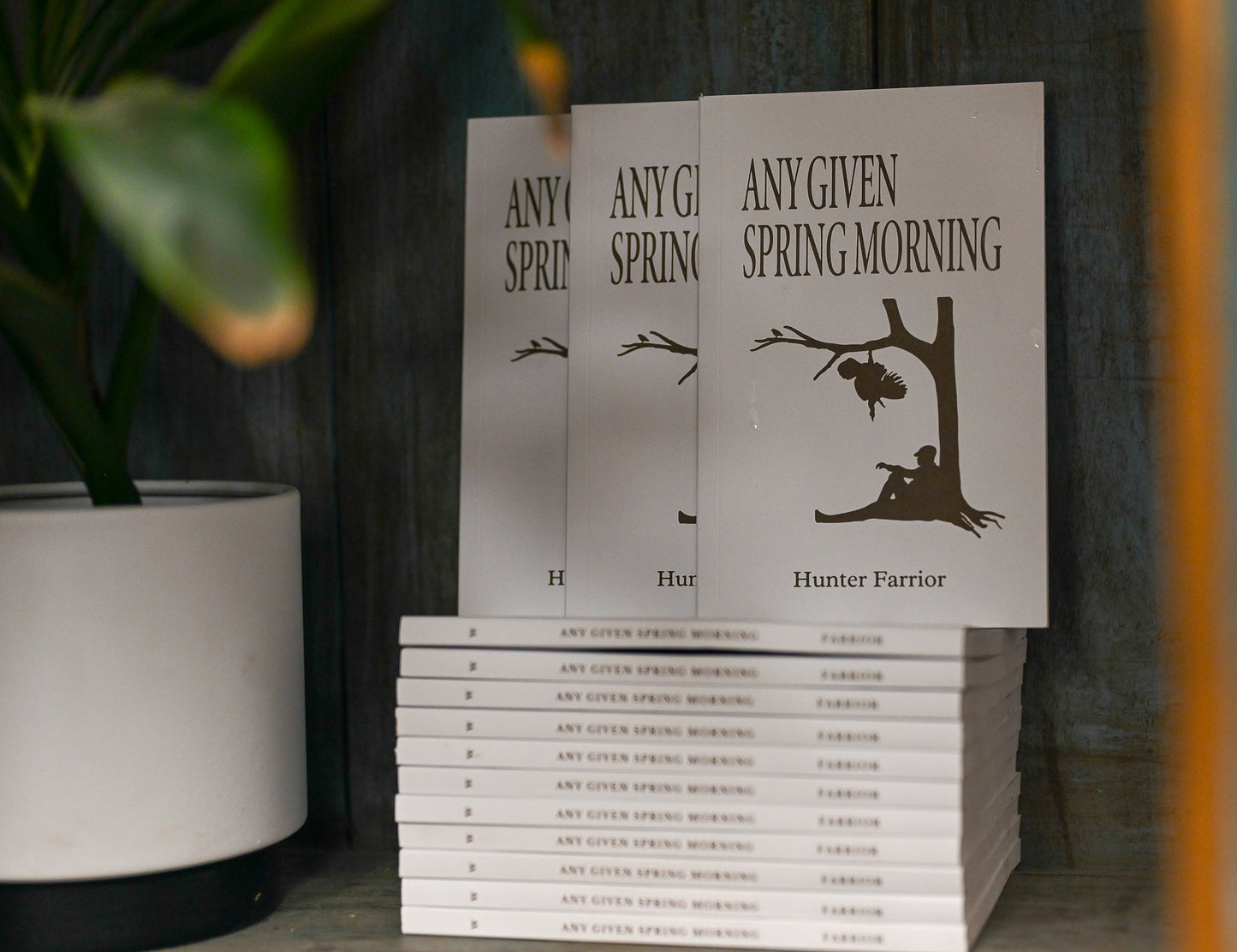 Any Given Spring Morning - Signed Paperback