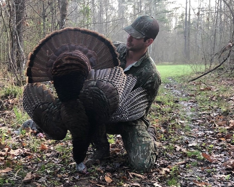 "Decoy vs. No Decoy" in Turkey Hunting