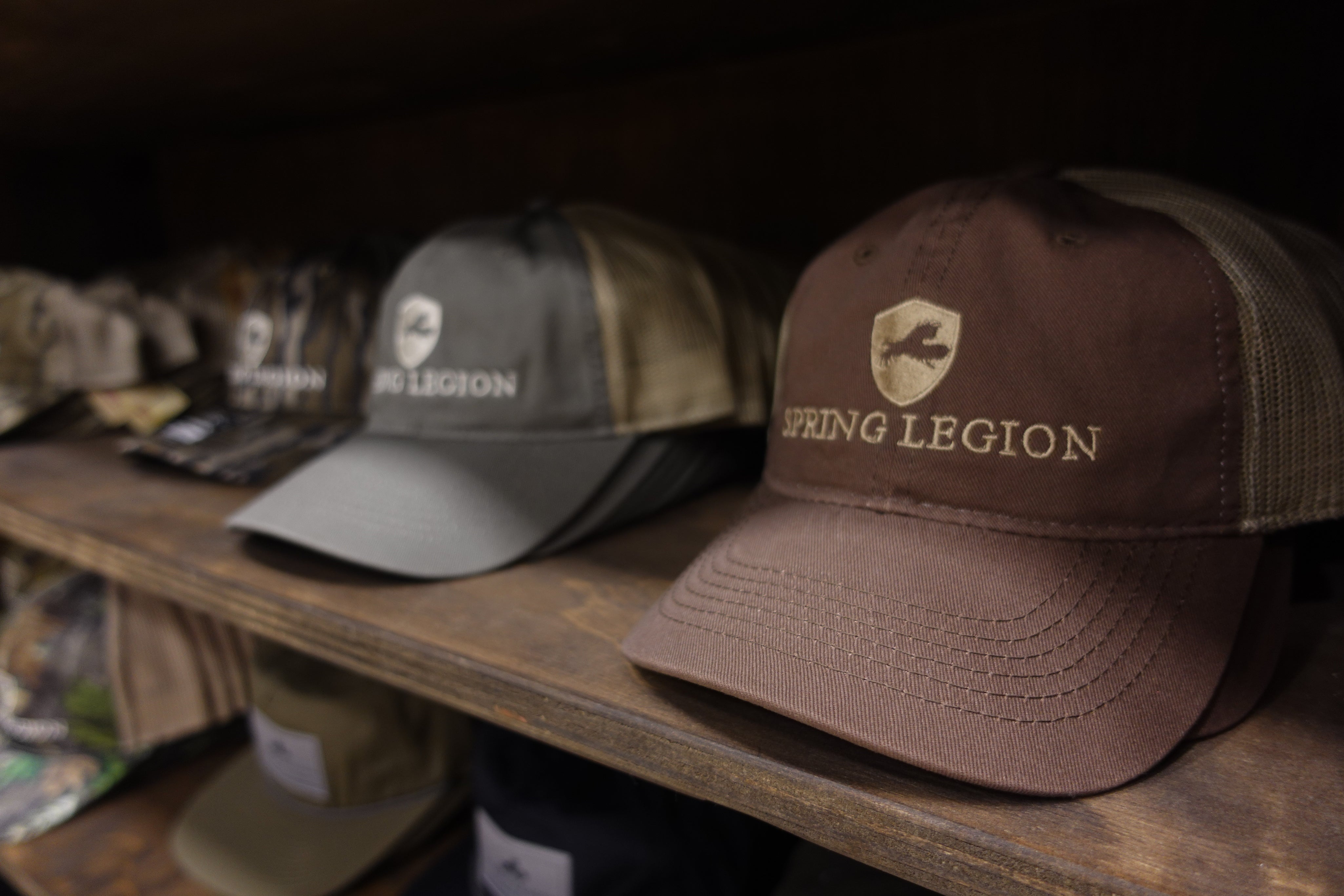 Logo Platinum Series - Brown/Khaki