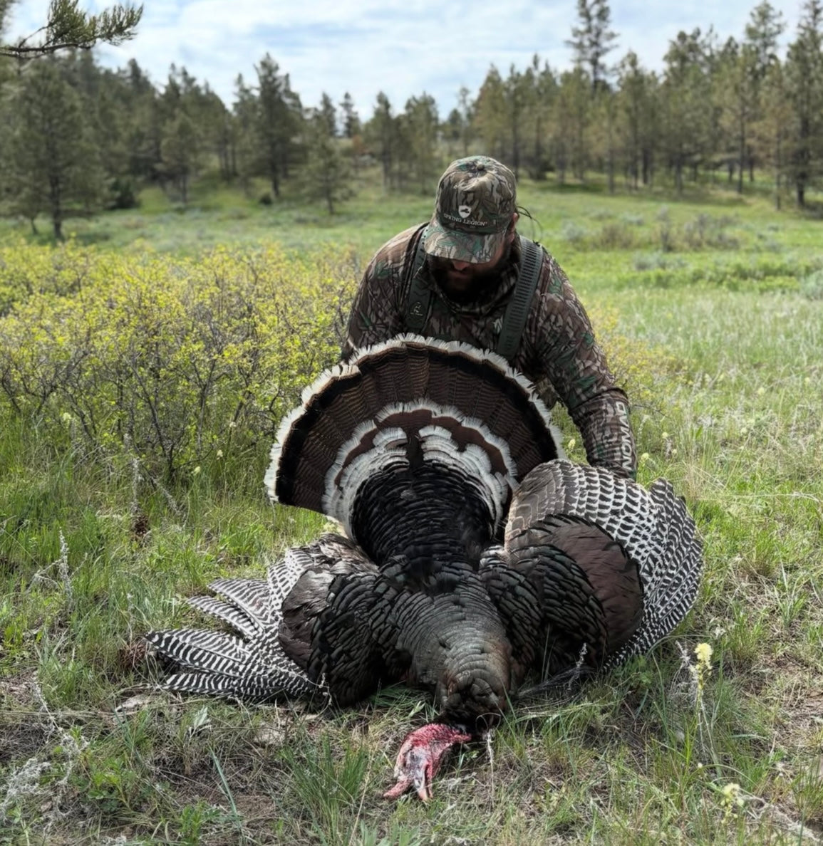 Hunter with a large turkey in a forested area