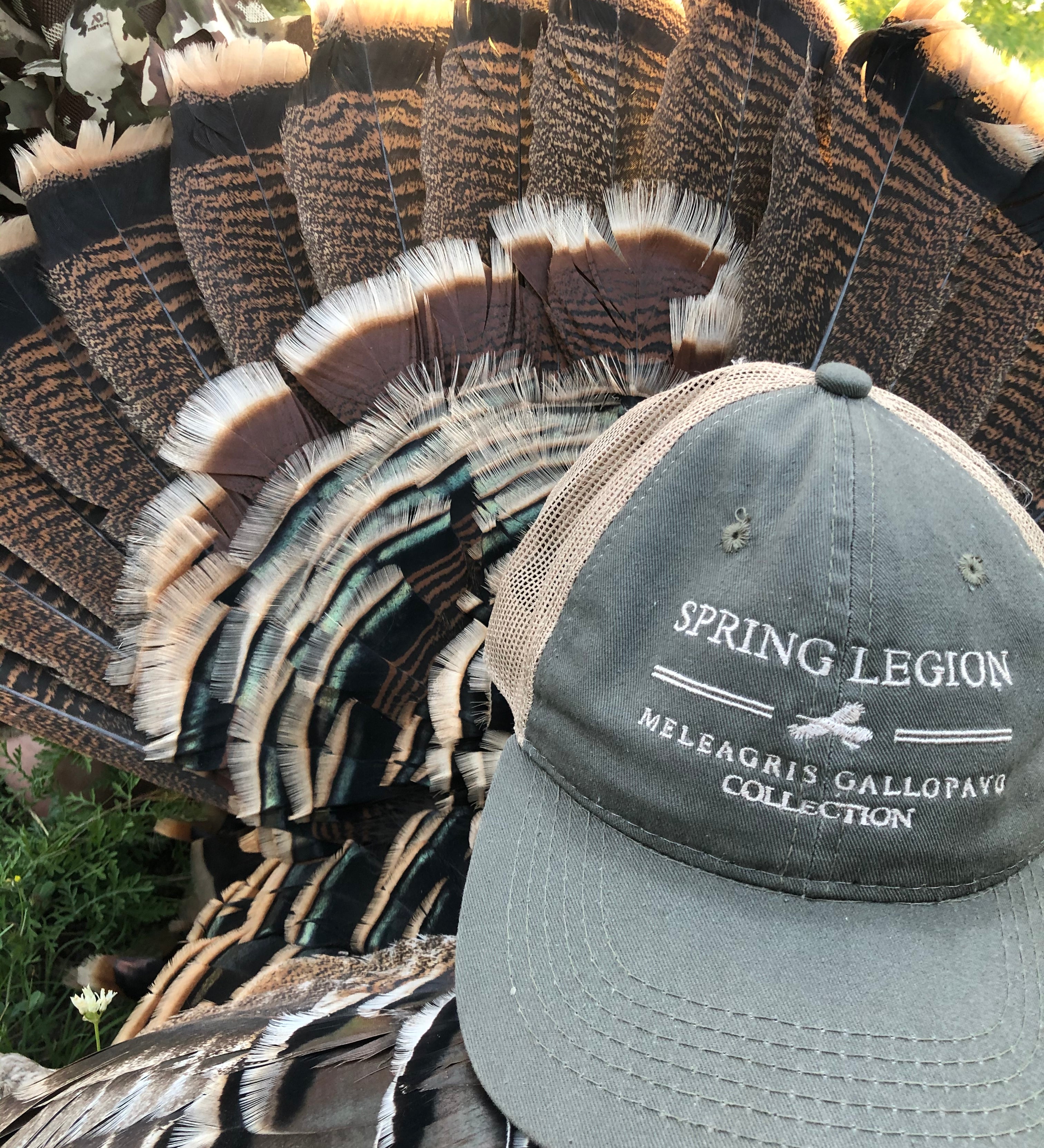 spring legion, turkey hunting, unscructured, platinum, outdoor cap, meleagris gallopavo, mgc, gary stanton, muscadine bloodline, hunting, fishing, turkeys, bottomland