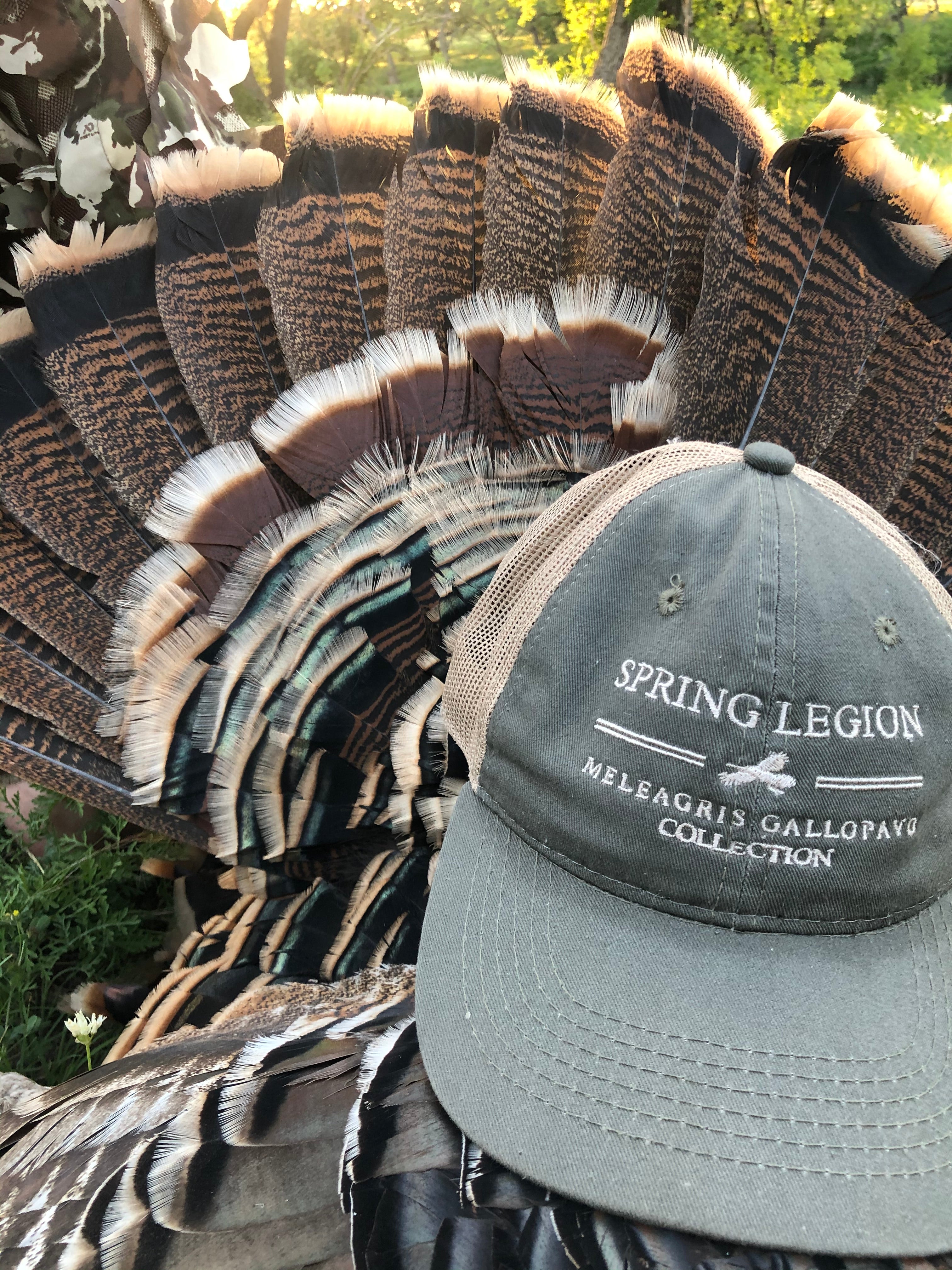 spring legion, turkey hunting, unscructured, platinum, outdoor cap, meleagris gallopavo, mgc, gary stanton, muscadine bloodline, hunting, fishing, turkeys, bottomland