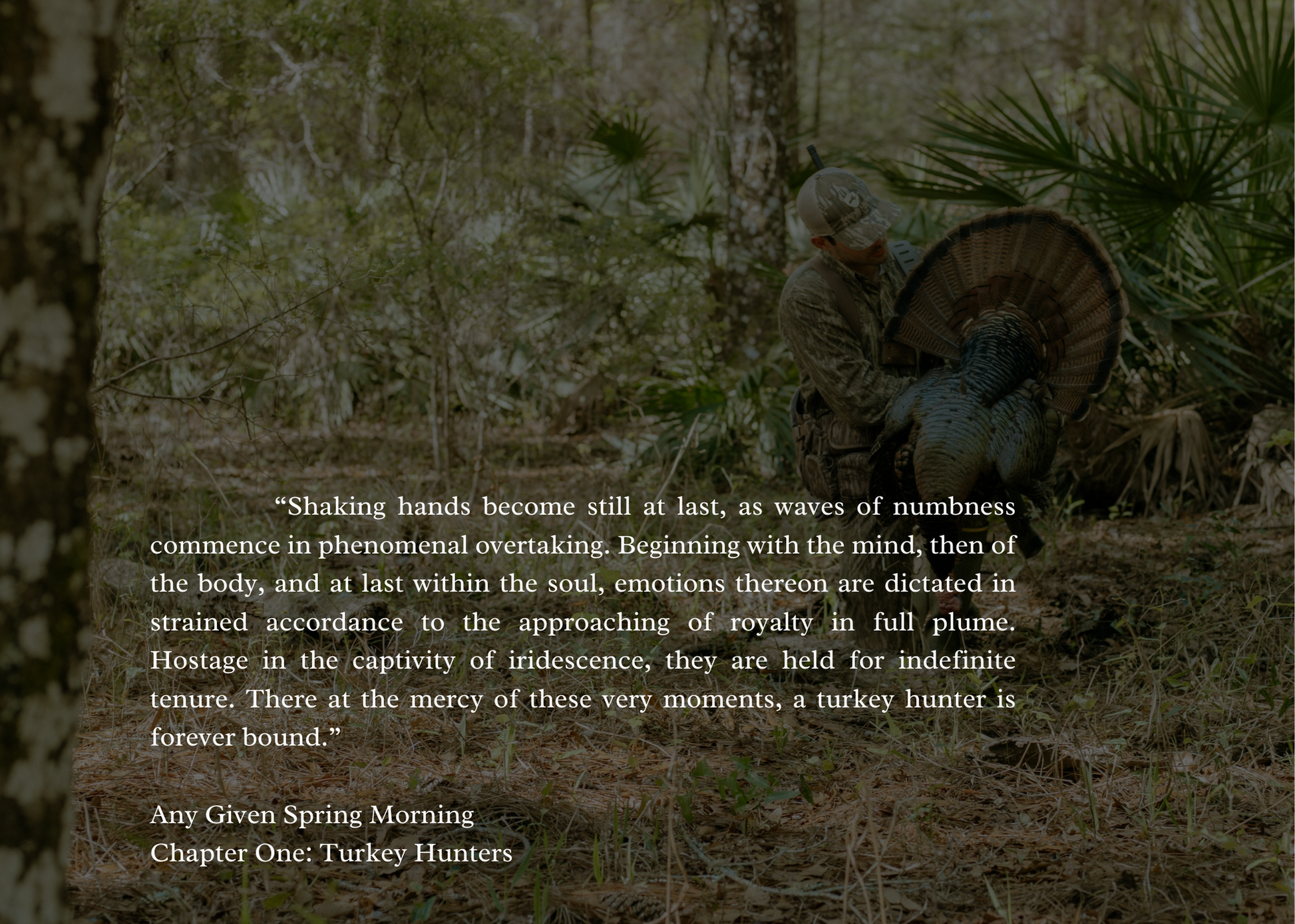 Any given spring morning, hunter farrior, spring legion, turkey hunting, tom kelly, ballad, mossy oak, nwtf, pinhoti, how to, stories, book, quote